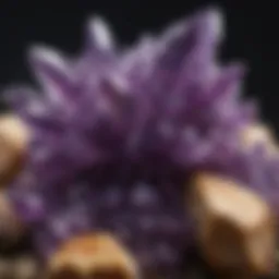 A vibrant cluster of amethyst crystals showcasing their intricate structures