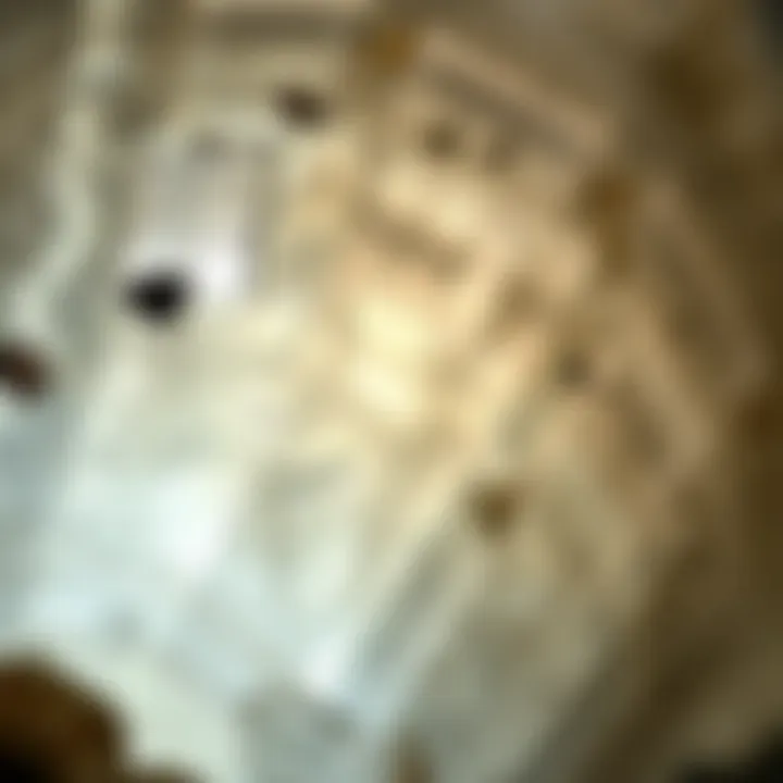 Intricate Crystal Details Close-up of a crystal with intricate patterns and textures reflecting light