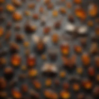 Diverse Collection of Amber Insect Jewellery Collection of various amber pieces with embedded insects