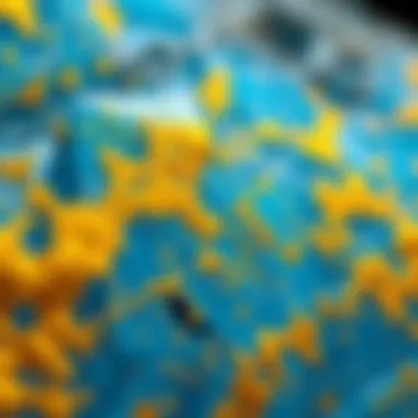 Close-up view of blue crystal showcasing intricate gold patterns