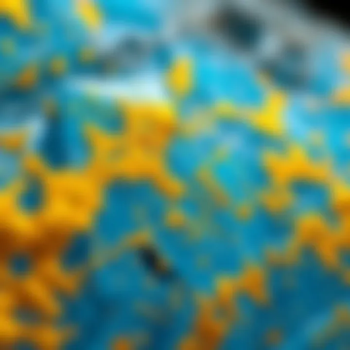 Close-up view of blue crystal showcasing intricate gold patterns