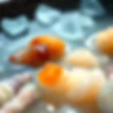 Cleansing Crystals in Saltwater A serene setting with crystals being cleansed in saltwater