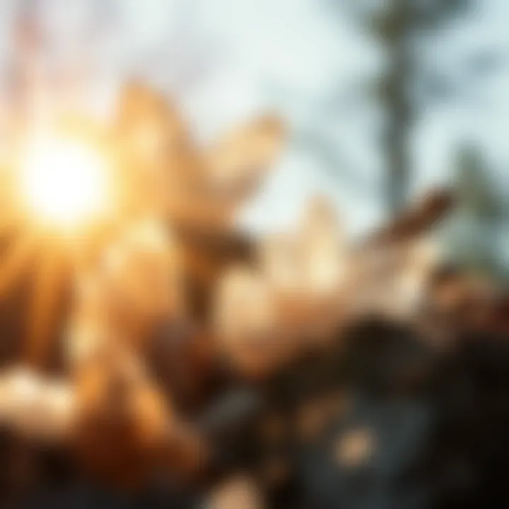 Crystals Radiating Energy in Sunlight Crystals bathed in sunlight, radiating their energy