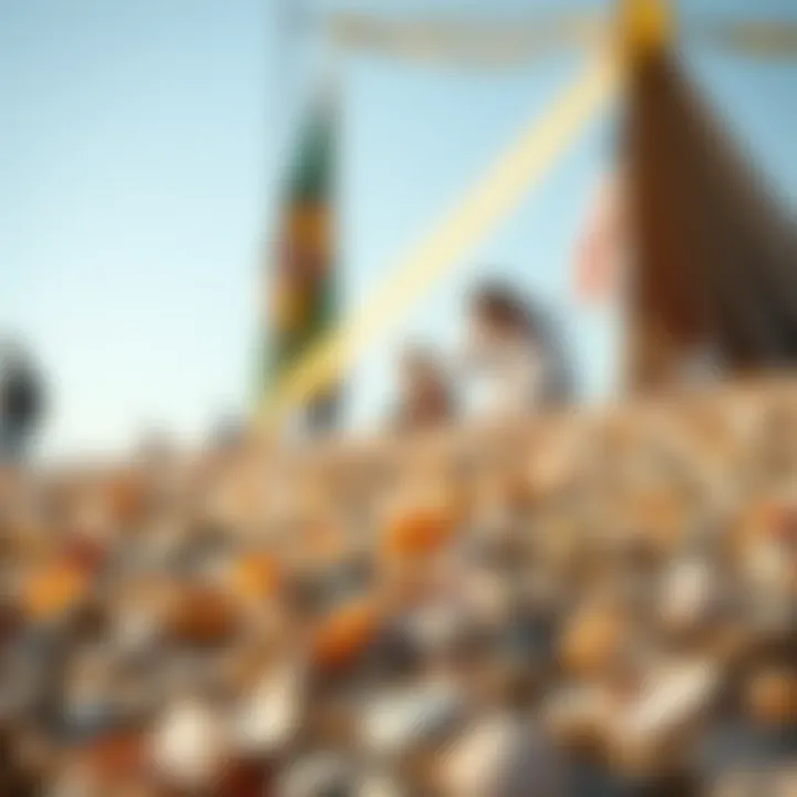 An engaging community event focused on shell seeking