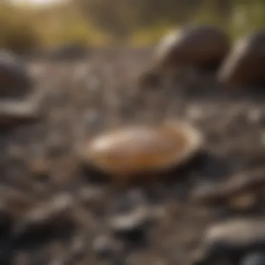 Effective Prospecting Techniques Techniques for efficient gold prospecting