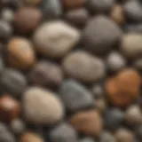 Close-up of various rock types showcasing texture differences