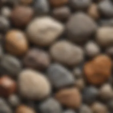Diverse Rock Textures Close-up of various rock types showcasing texture differences