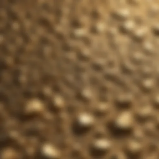 Close-up of gold texture highlighting its unique luster