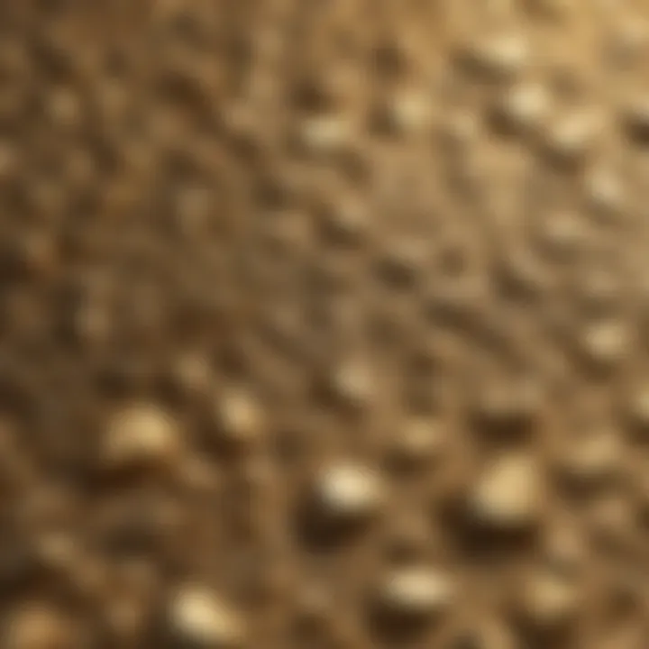 Close-up of gold texture highlighting its unique luster