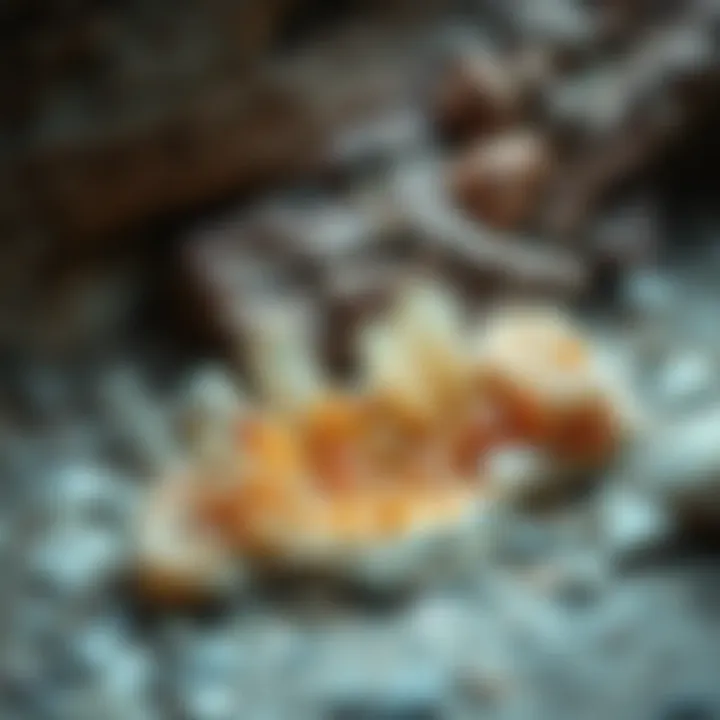 An outdoor setting revealing a crystal-rich geological site with exposed formations