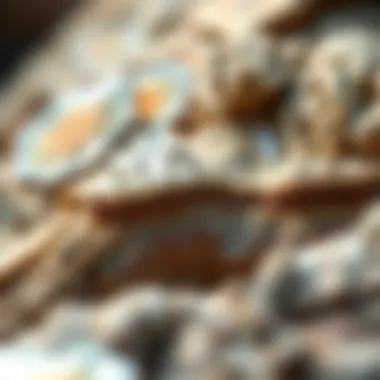 Geological Context of Quartz Crystal Formation Geological layers showcasing the formation of quartz crystals