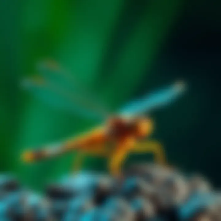 Ecological interactions of dragonfly larvae within aquatic food webs