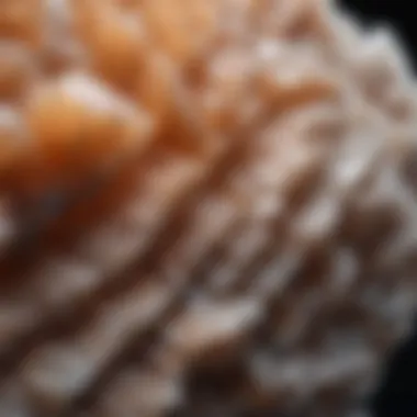 Close-Up of Dragonscale Calcite Close-up view of dragonscale calcite showcasing its distinctive texture and patterns
