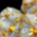 Close-up view of gold flecks embedded in quartz rock