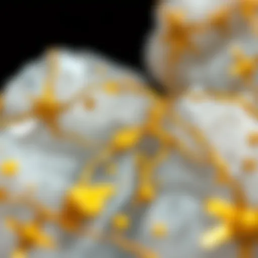 Close-up view of gold flecks embedded in quartz rock