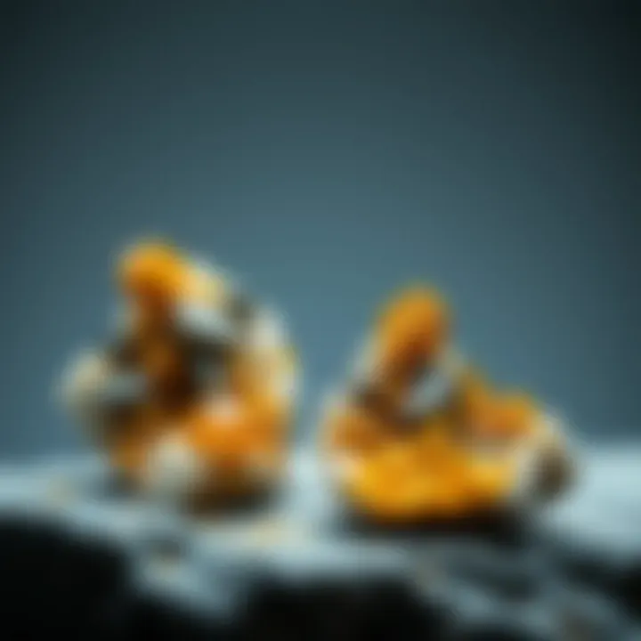 Mineral Specimens with Gold Mineral specimens showcasing gold mixed with other minerals