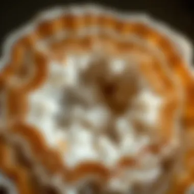 A close-up of a geode showcasing its intricate outer layer