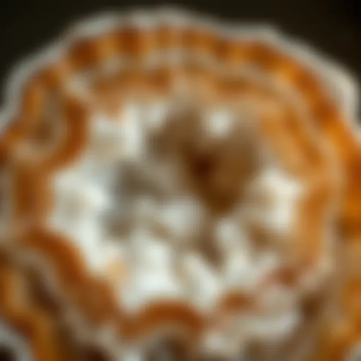 A close-up of a geode showcasing its intricate outer layer