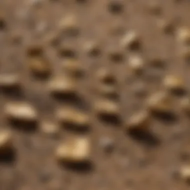 Close-up view of gold particles within panning dirt