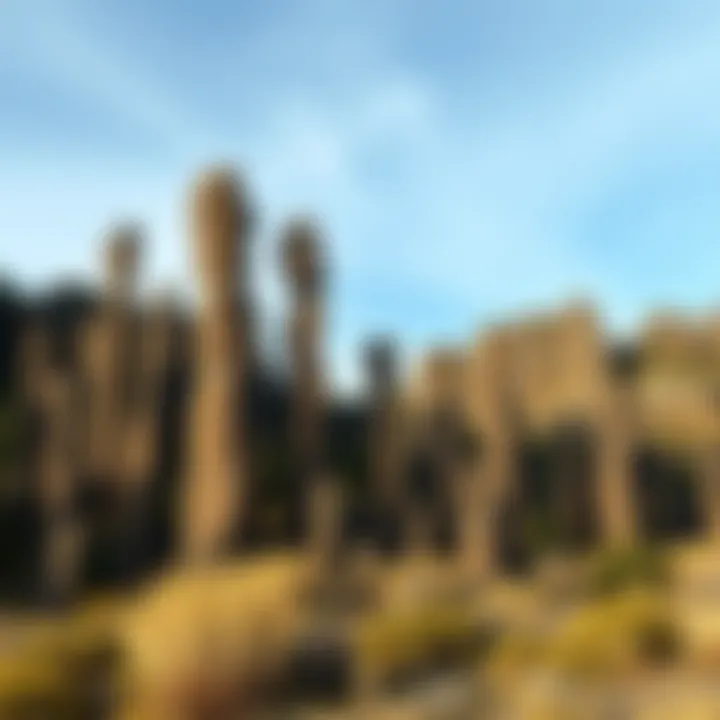 Majestic Basalt Columns in Nature A geological formation featuring basalt columns in a natural landscape