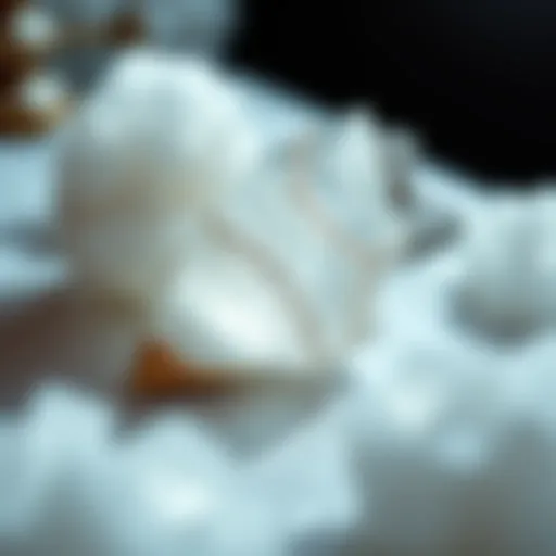 Biblical references to crystals