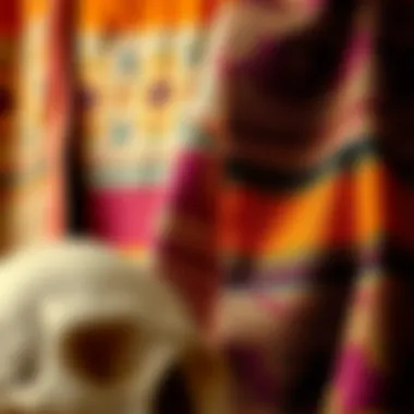 A collection of traditional Indian textiles and patterns