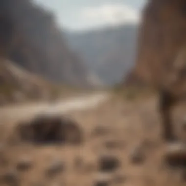 Paleontologists conducting fieldwork in a fossil site