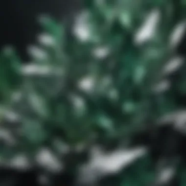 Harmony of Dark Green and White Crystals An artistic arrangement of dark green and white crystals against a natural backdrop.