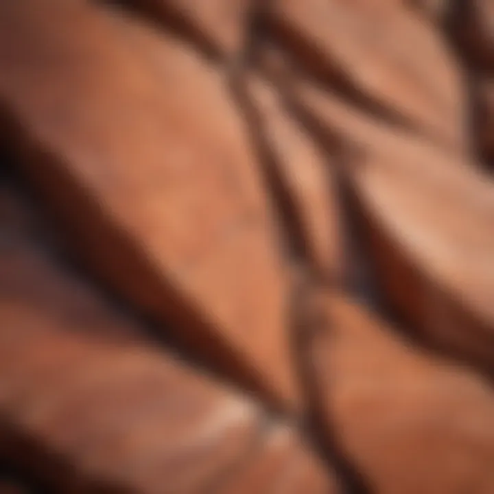 Close-up of unique red rock textures and patterns