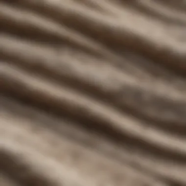 Textural Insights into Educational Value Close-up view of the fabric texture of a fossil shirt that emphasizes its educational value.