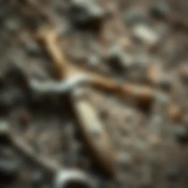 Essential Tools for Gem Exploration A close-up of a miner's tools resting on a rocky surface at a gem mine
