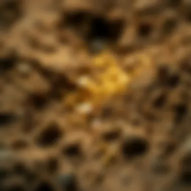 Gold Particles in Mining Dirt Close-up of gold particles within mined dirt showcasing its texture.