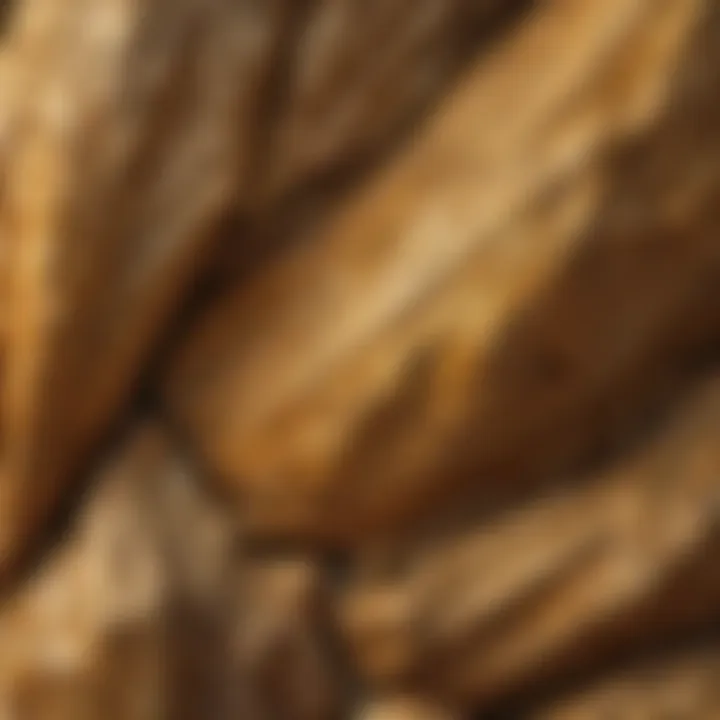 Close-up of a striking gold rock formation showcasing intricate textures and patterns