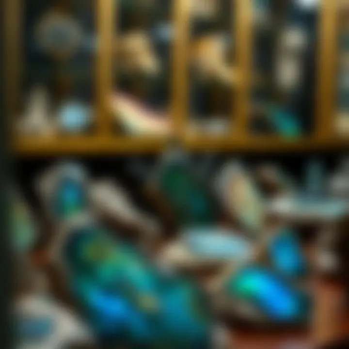 Collector's Showcase of Labradorite Specimens Labradorite specimens displayed in a collector's showcase