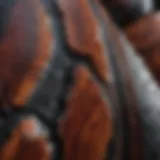 Close-up view of mahogany obsidian showcasing its unique color patterns and texture