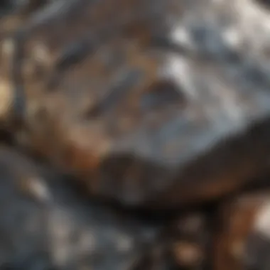 The Shiny Allure of Metallic Rock Close-up view of metallic rock showcasing its shiny surface and unique texture.