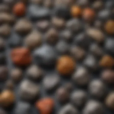 Diverse Meteorite Specimens A stunning collection of various meteorite specimens showcasing their diverse textures and colors