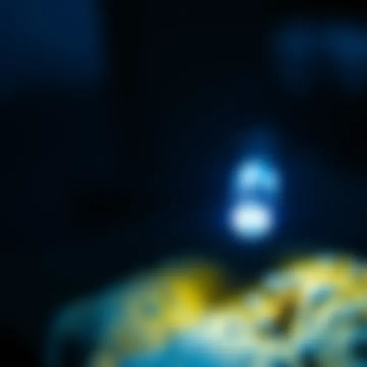 Close-up of UV light detection in action