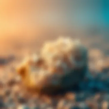 Identification Techniques for Collecting Near Colorless Minerals A detailed guide on the identification techniques for near colorless minerals