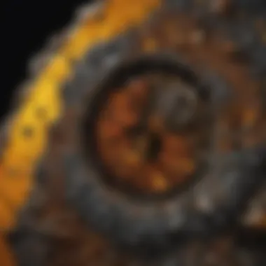 Intricate Structure of Pallasite Meteorite Revealed Cross-section of a pallasite meteorite showcasing its unique structure