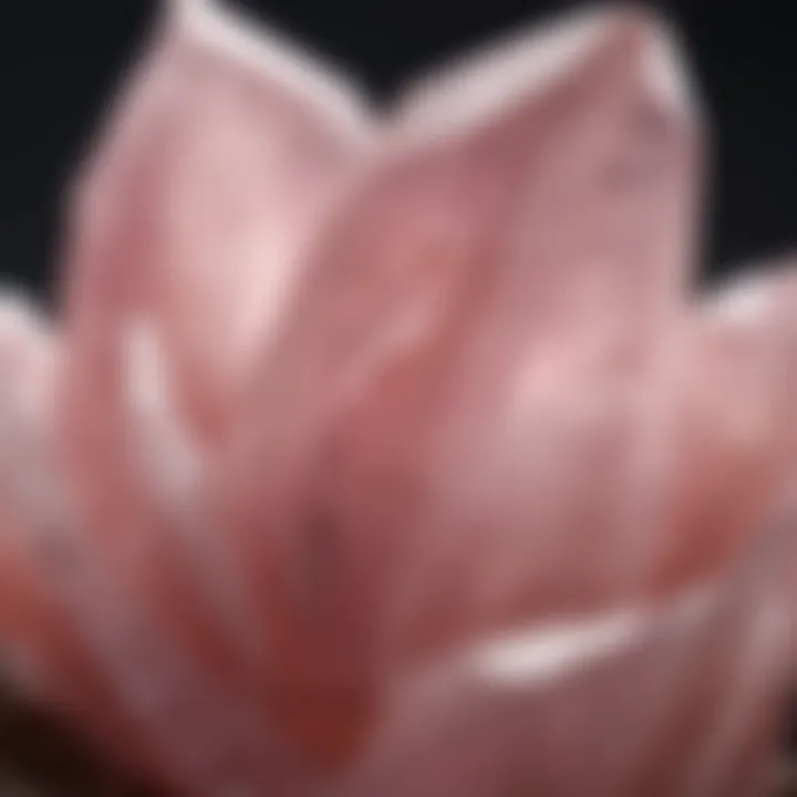 An intricate close-up of a raw rose quartz crystal showcasing its natural beauty