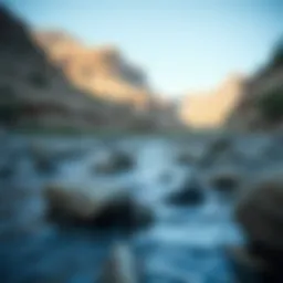 Scenic riverbed where gold panning occurs