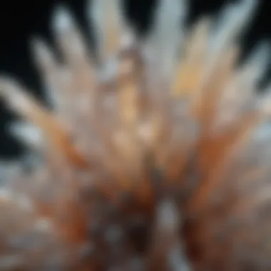 Intricate Quartz Crystal Structure Microscopic view of quartz crystal structure