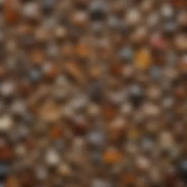 Display of Diverse Rutilated Crystals A beautifully arranged collection of rutilated crystals displayed on a natural wooden surface