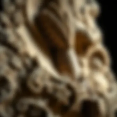 Intricate Stone Carving Details Close-up of intricate stone carving detailing