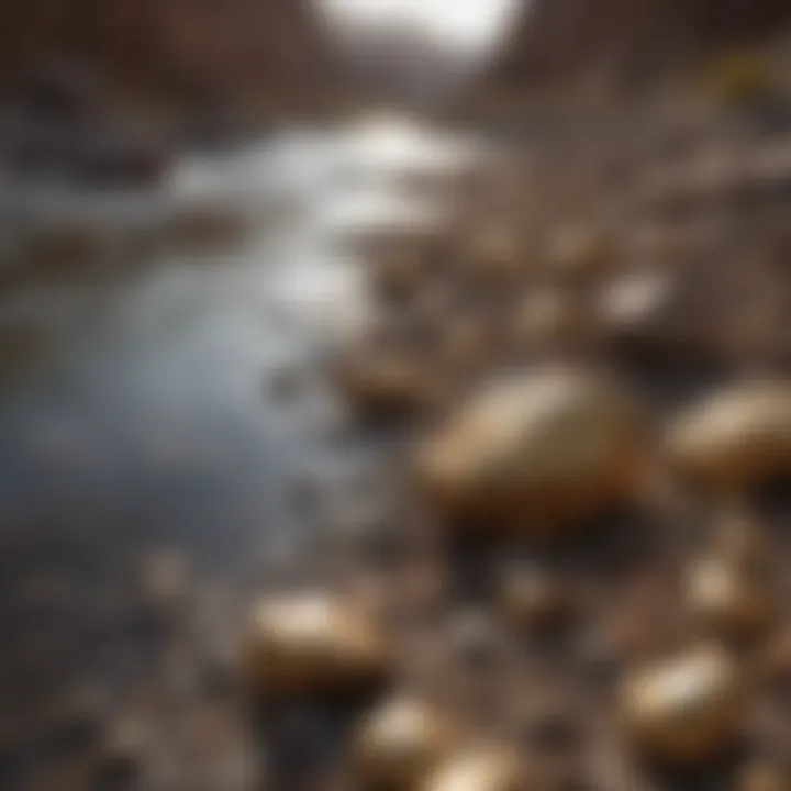 Close-up of a riverbed showing potential gold deposits