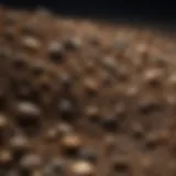 Diverse types of soil for prospecting