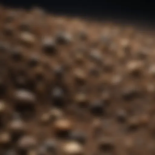Diverse types of soil for prospecting