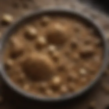 Rich gold-bearing dirt in a pan