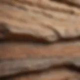 A close-up view of different sandstone textures showcasing their unique patterns